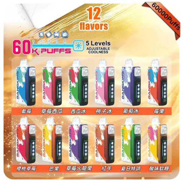 【王嘉爾同款】Bangking 60K 拋棄式電子煙|五檔冰感調節|60K 口數體驗